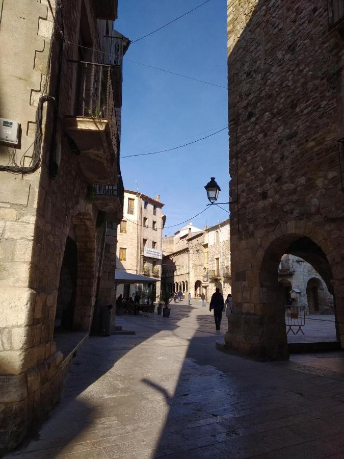 Ferienwohnung Buhardilla Para Dos En Can Mingu Besalú Exterior foto